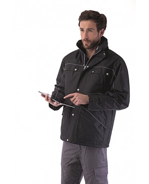 3-IN-1 CAP HORN PK561